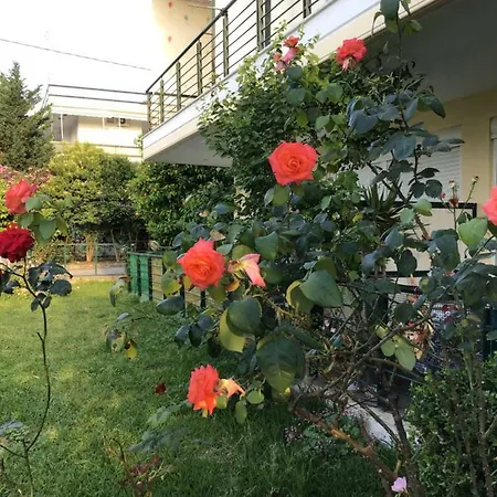Ourania's * Kaména Vúrla